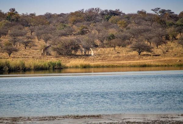 Ritsako Game Lodge Klipdrift Exterior photo